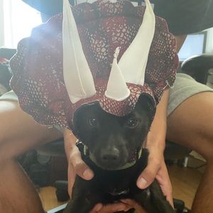 Meet your Posher, Christopher